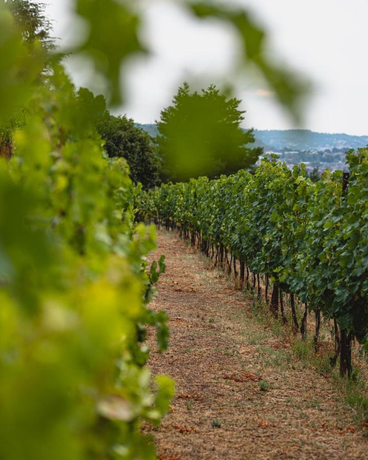Tenuta Ronco Regio San Fermo della Battaglia Zewnętrze zdjęcie